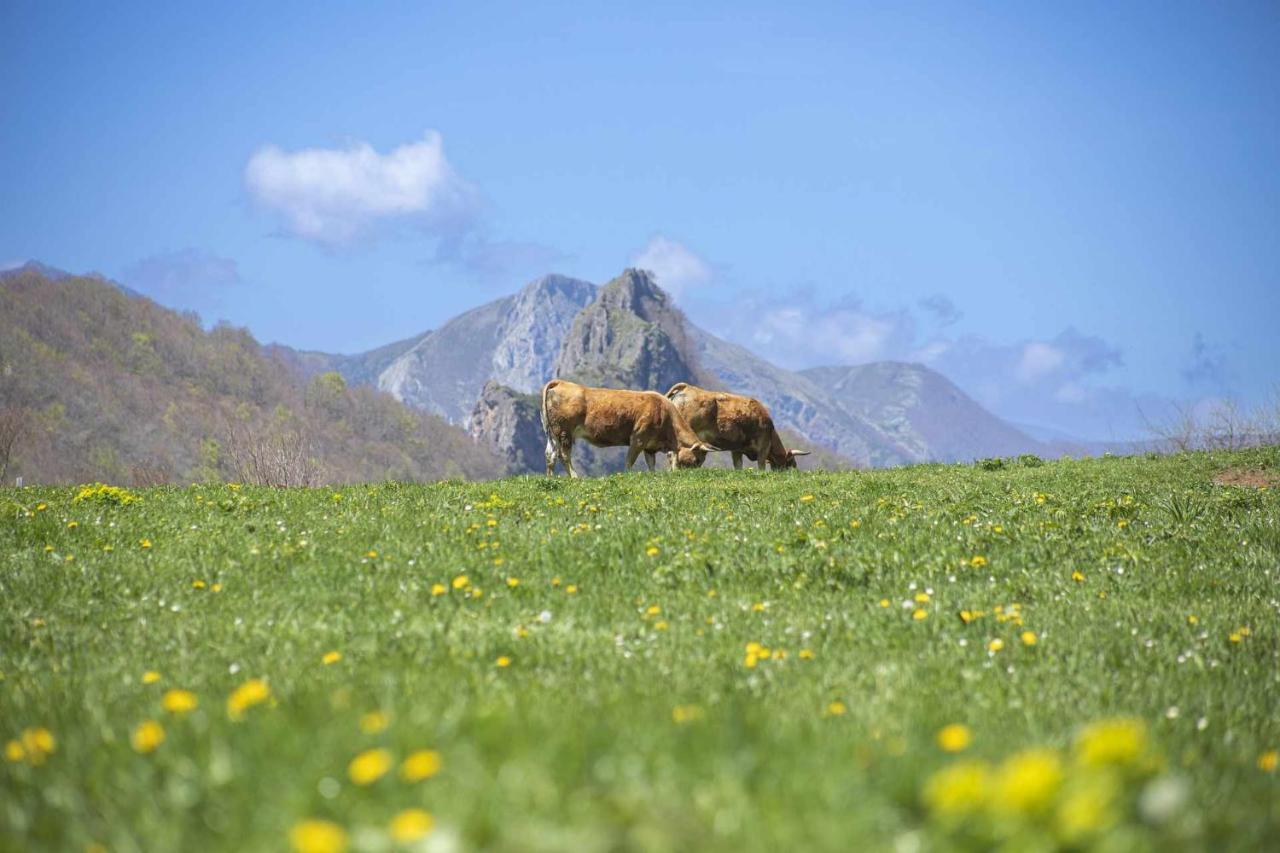 Appartamento Casa Noval Zona Rural En El Centro De Asturias Bimenes Esterno foto
